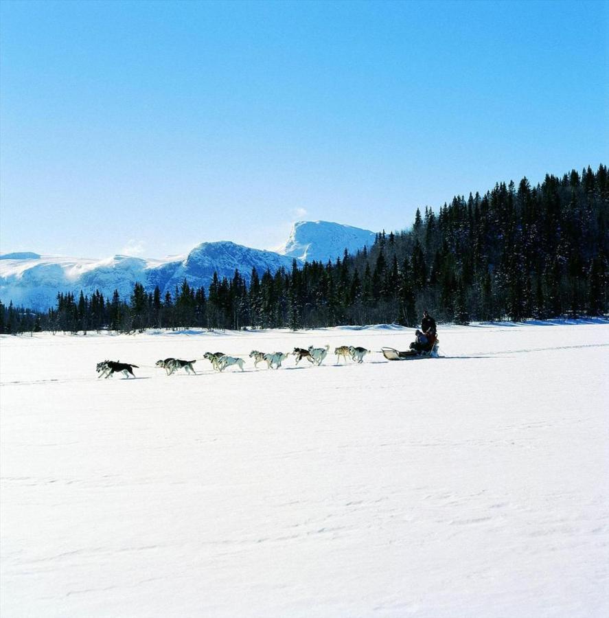 Fresh Familie Hytte Hemsedal Exterior foto